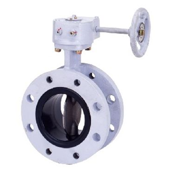 KITZ開滋球墨鑄鐵蝶閥VG-10NFJUE-300A