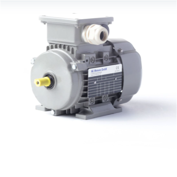 德國AC MOTOREN三相異步雙速電機(jī)AC18L4600001